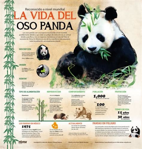 Los animales domésticos constituyen una compañía para las personas, pero estas deben tener en cuenta que su tenencia responsable implica cuidar la higiene, alimentación y vacunaciones así como realizar los controles periódicos con el veterinario, con el fin de evitar que ocasionen problemas para. 29 de abril: imágenes, frases e información para el Día ...