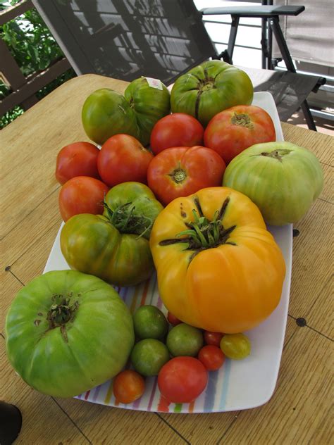 Heirloom Tomato Heirloom Tomatoes Heirlooms Vegetables Garden Food