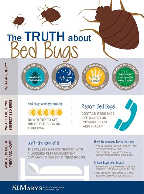 Interesting Bed Bug Facts Pest Phobia