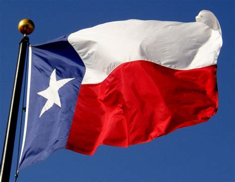 Texas State Symbols