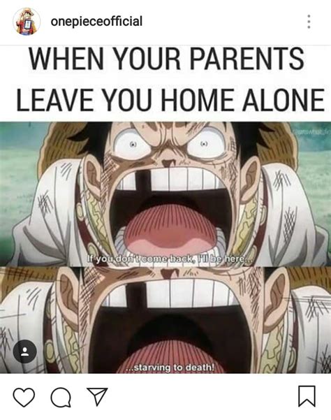 One Piece Meme One Piece Funny One Piece Pictures One Piece Images Very Funny Memes Funny