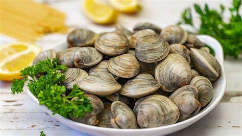 13 Types Of Clams And How To Cook Them Restaurant Clicks