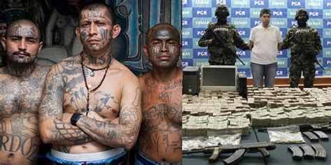 Disturbing Facts About Mexican Drug Cartels Therichest