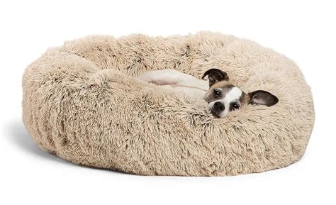The 3 Best Dog Bed For Dogs That Love To Fluff Their Bed 2020 Guide
