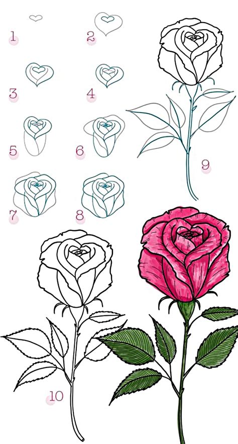 Cách Vẽ Bông Hoa Hồng đơn Giản Theo Từng Bước Yeutrenet
