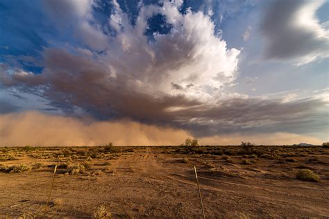 How do you prepare a living will? Living in Phoenix: A Dust Storm Survival Guide | Heers Management