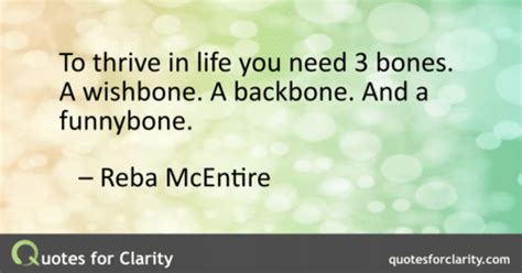 To Thrive In Life You Need 3 Bones A Wishbone A Backbone