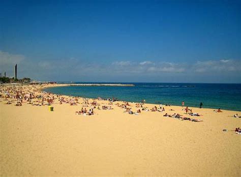 Barcelona beaches are one of the attractions of barcelona, especially during summer time.all the information of barcelona beaches, tips and how to get there. BARCELONA BEACHES - Zannas Cole