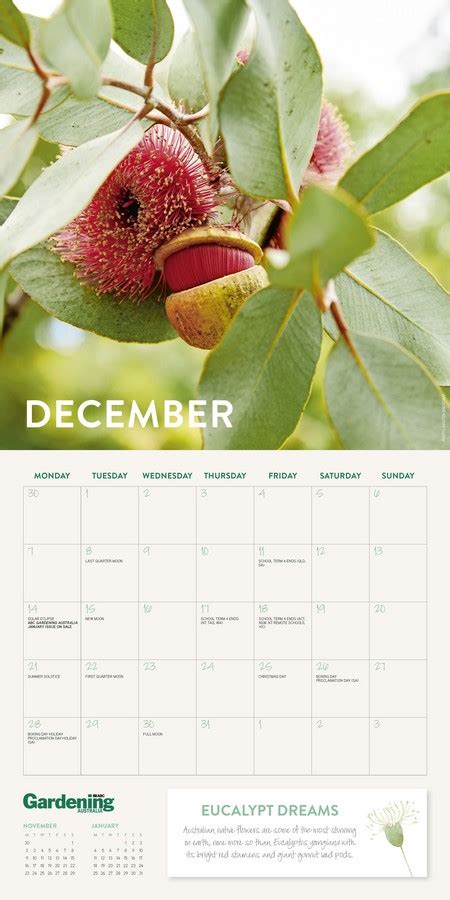 Abc Gardening Australia 2021 Calendar Angus And Robertson