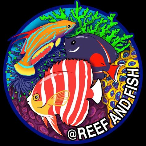 Reef And Fish