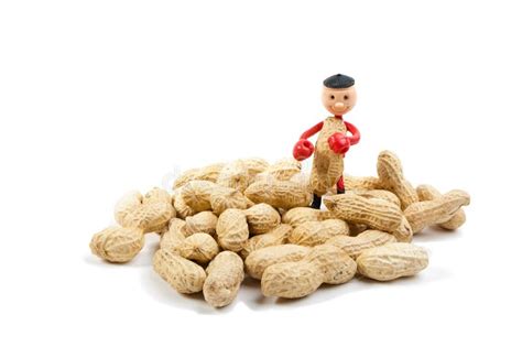 Little Peanut Man Between Peanuts Stock Photo Image 47128503