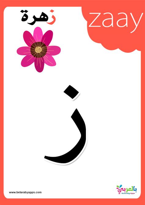 arabic alphabet flashcards  pictures balaarby ntaalm