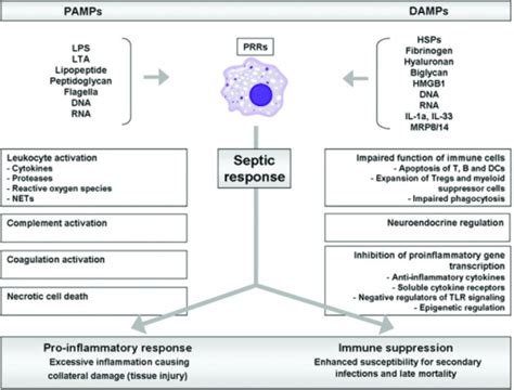Figure 1 The Host Response To Sepsis The Host Respon Open I