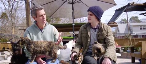 Long Island Man Turns Home Into Sanctuary For 300 Cats Port Jefferson