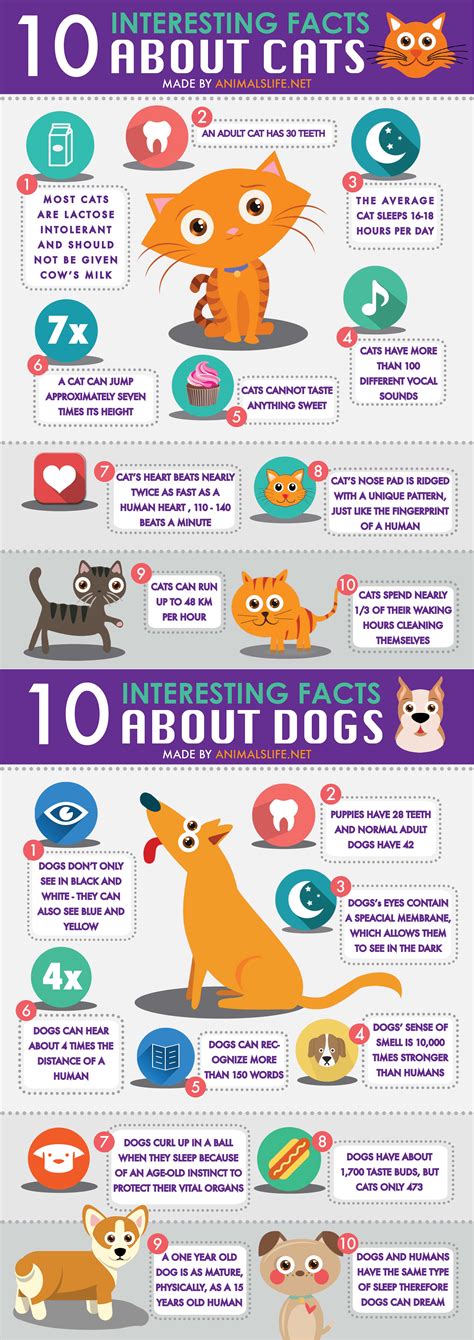 Top 10 Interesting Facts About Cats And Dogs Animals Life Donate