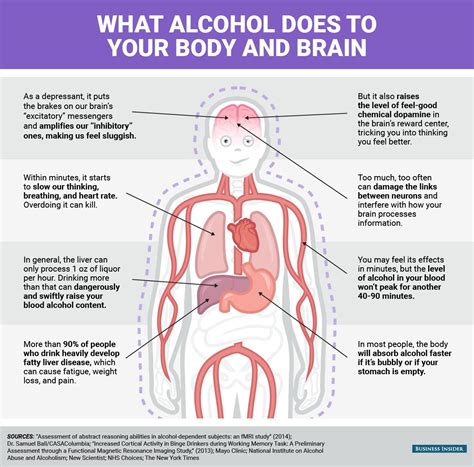 What Alcohol Does To Your Body And Brain