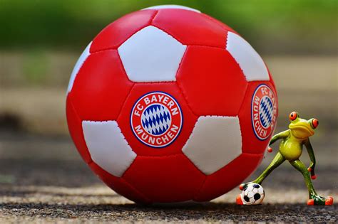 Allianz arena is a football stadium in munich, bavaria, germany with a 70,000 seating capacity for international matches and 75,000 for domestic matches. Free Images : red, soccer, frog, stadium, sports equipment, ball, funny, football player ...