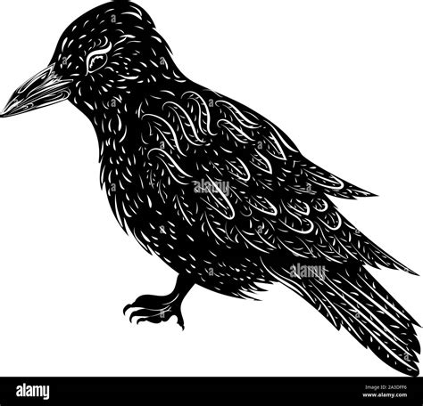 Silueta Estilizada De Un Cuervo Cuervo Negro Sobre Fondo Blanco Imagen