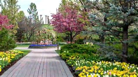Maybe you would like to learn more about one of these? Tulip Festival Thanksgiving Point Utah 2015 - YouTube