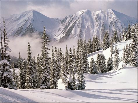 Winter Wonderland British Columbia Canada Free Nature Pictures