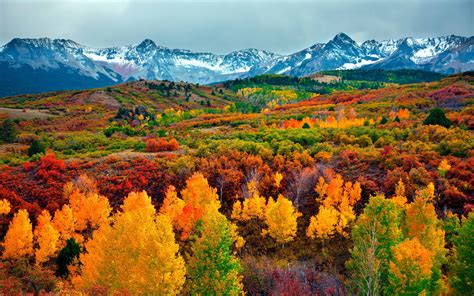 Colorado Scenic Beauty Natural Attractions Landscape Fall Forest With