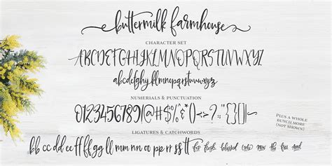 Buttermilk Farmhouse Font Farmhouse Font Rustic Script Fonts Lettering