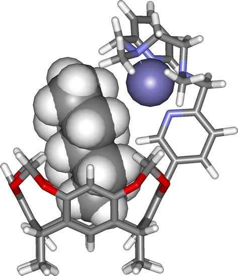 Enzymes Provide A Hydrophobic Pocket For The Binding Clipart Full