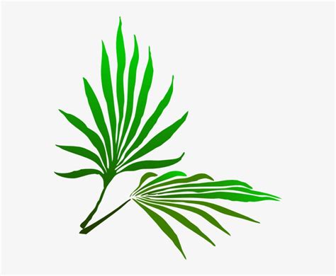 Palm Sunday Clipart Palm Leaf Watercolor Png Free Transparent