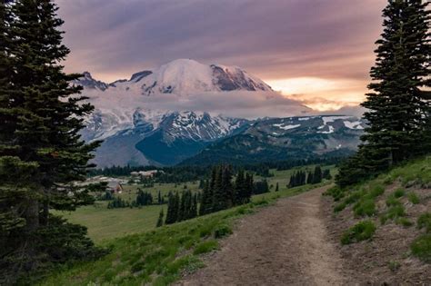 6 Best Mount Rainier Hikes And Trails The National Parks Experience