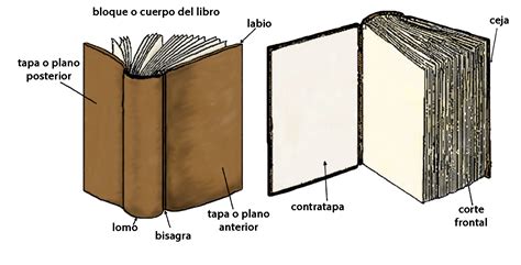 Tableta computadora wikipedia la enciclopedia libre. ¿Cuales son las partes de un libro? ⚡️ » Respuestas.tips