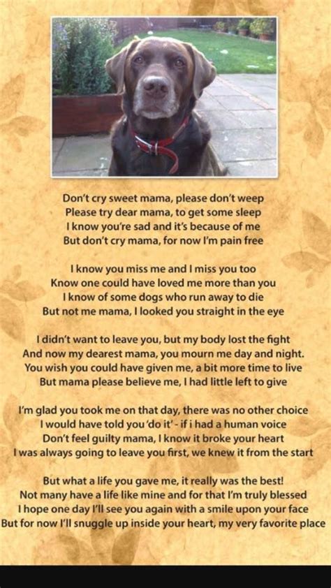 Dont Cry Dog Poems Pet Loss Grief Pet Remembrance