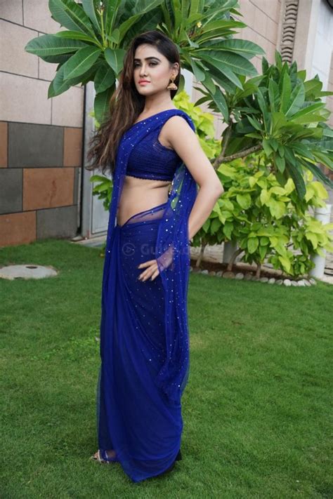 telugu actress sony hot in blue saree photos sony sexy saree stills