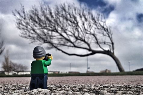 This Guy Spends 365 Days Following This Tiny Legographer Travelling The