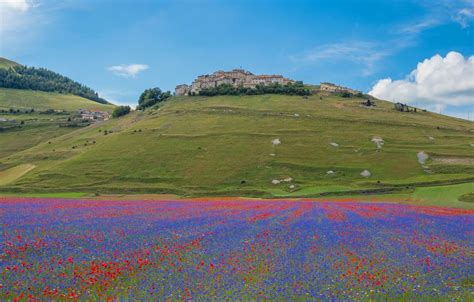 Colors Bloom Across The Great Plain Of Castelluccio Italy The Atlantic