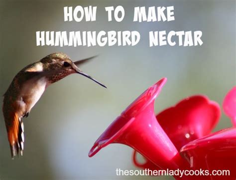 Posted on may 26, 2019 may 26, 2019 by robena posted in recipes. Hummingbird Food Recipe Without Boiling - Blog Dandk