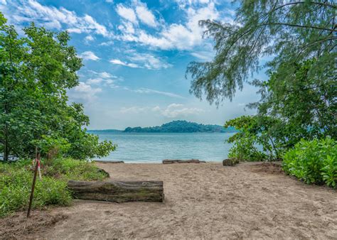 16 Best Beaches In Singapore To Spend Sunny Days Honeycombers
