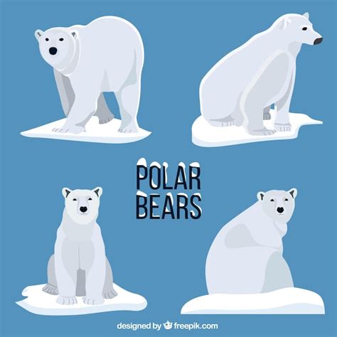 Premium Vector Polar Bears