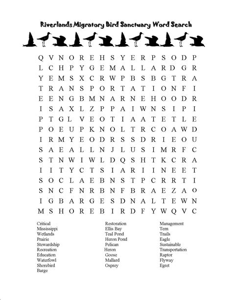 Words Word Search Puzzle Word Search