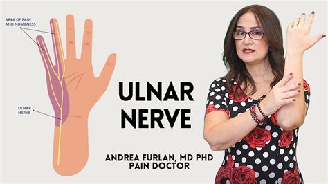 125 Cubital Tunnel Syndrome Compression Of The Ulnar Nerve At The