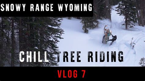 Snowy Range Wyoming Snowmobiling Chill Early Season Tree Riding With