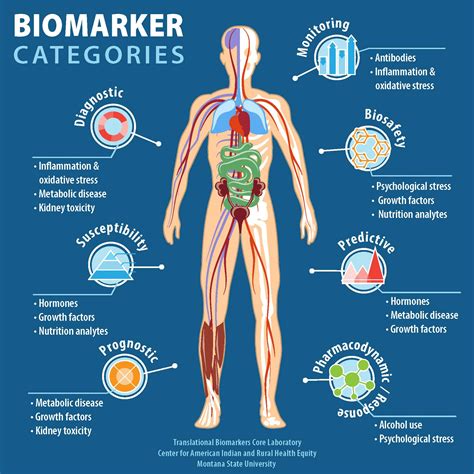 Translational Biomarkers Core Center For American Indian And Rural