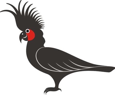 Format gambar merupakan cara standar untuk mengatur dan menyimpan file digital. Logo Burung Kakatua format Vektor - Berita Online Papua