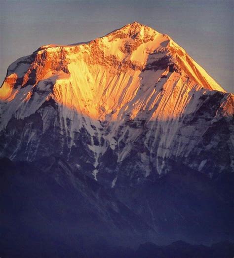 Mt Dhaulagiri 8167 During Sunrise ️ Photo Mountaingram