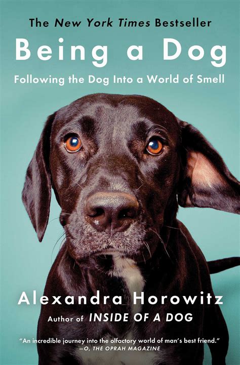 Being A Dog Book By Alexandra Horowitz Official Publisher Page