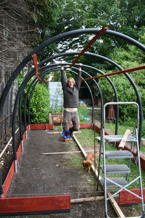A greenhouse is a structure that produces a microclimate ideal for plant growth. How to make your own polytunnel in 2020 | Diy greenhouse ...