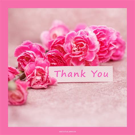 Thank You Images With Flowers Hd Download Free Images Srkh