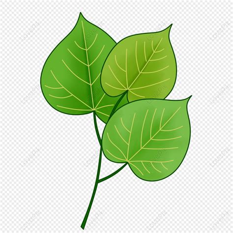 Cartoon Hand Painted Green Leaves Png Free Download And Clipart Image
