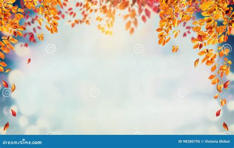 Beautiful Autumn Foliage Background With Brunches And Falling Tree