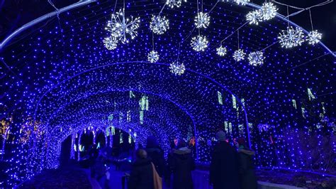 Newfields Winterlights Tickets Available At The Market — The Indy