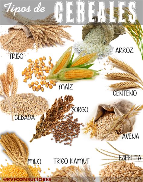 No Confundamos Legumbres Cereales Salvado Semillas Y Frutos Secos